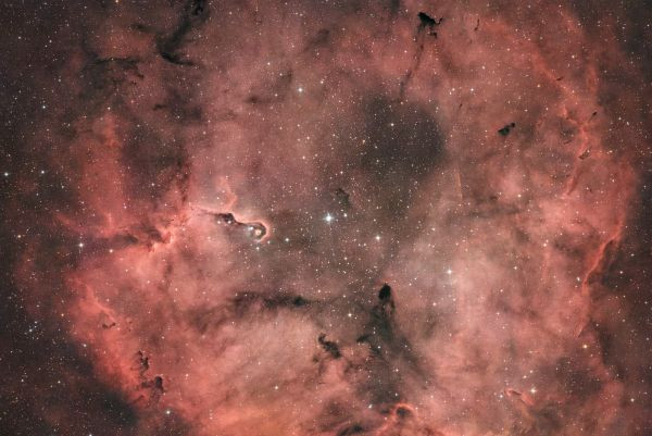 IC1396 Elephant Trunk - Astrophotography