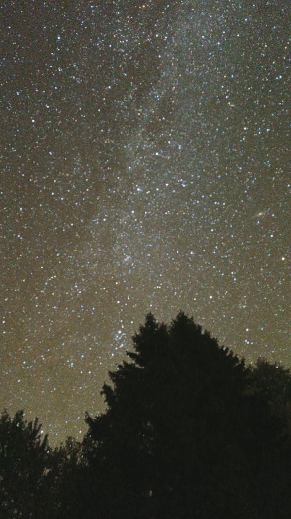 Cassiopeia and Andromeda - Astrophotography