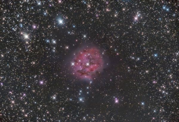 IC5146 Cocoon Nebula - астрофотография