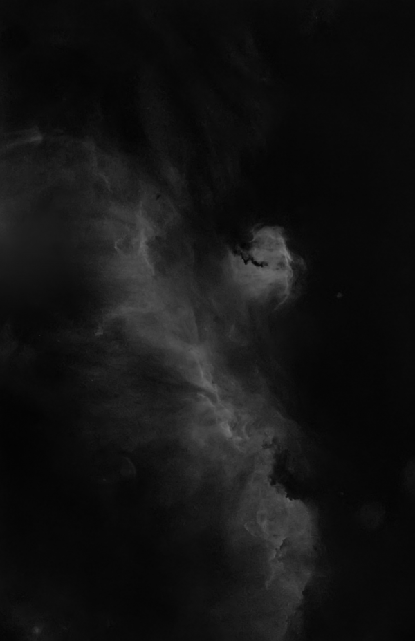 Туманность Чайка, IC 2177, в линии водорода Ha Вариант без звёзд - астрофотография