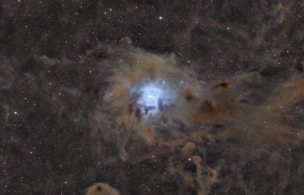 Iris nebula (ngc 7023) - астрофотография