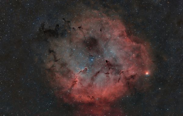 IC1396 HOO. New rig first light - астрофотография