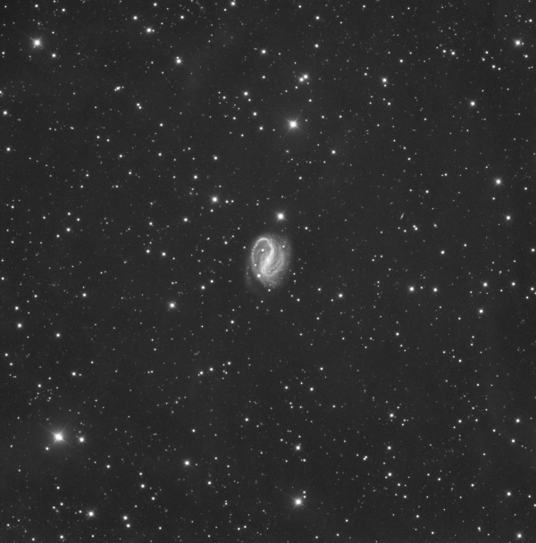 NGC 7479 - Astrophotography