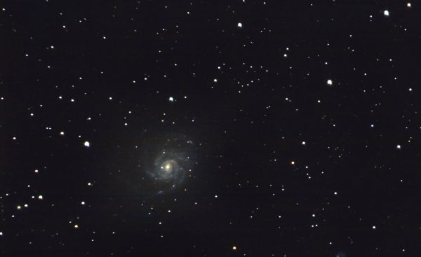 Спиральная галактика Вертушка в созвездии Большая Медведица. 25.03.2022. - астрофотография