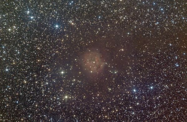 IC 5146 Cocoon - астрофотография
