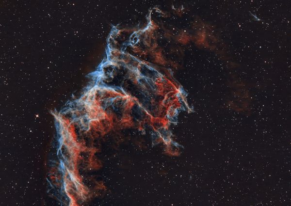 NGC-6995 Летучая мышь в вуали 24.07.2024 - астрофотография