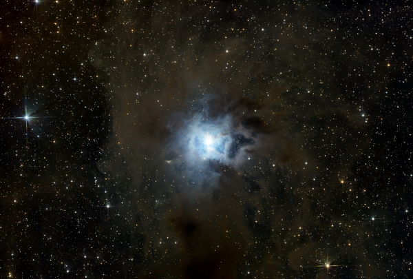 NGC 7023 - Iris Nebula - Astrophotography