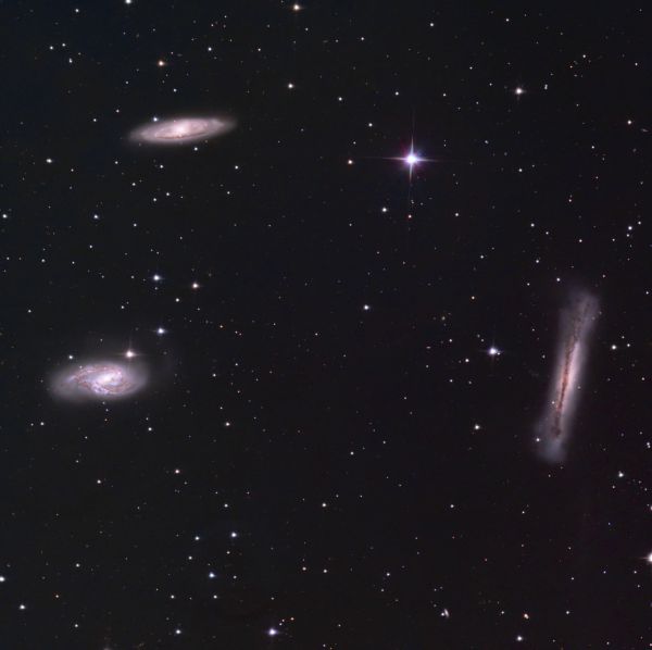 The Leo Triplet - Astrophotography
