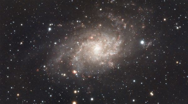 Triangulum Galaxy (M33, NGC 598) - Astrophotography