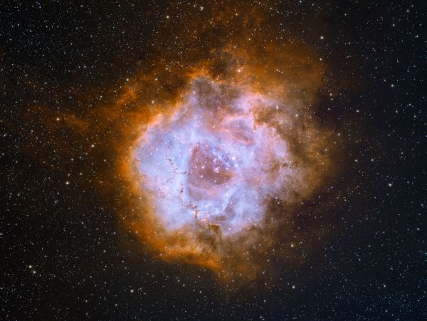 Розетка NGC2238 - астрофотография