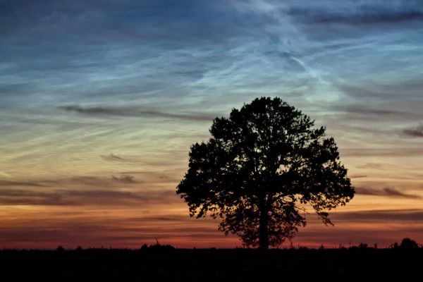 Nuctilucent clouds - астрофотография