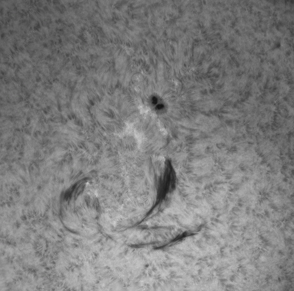 Solar Chromosphere        20.07.2026 - Astrophotography