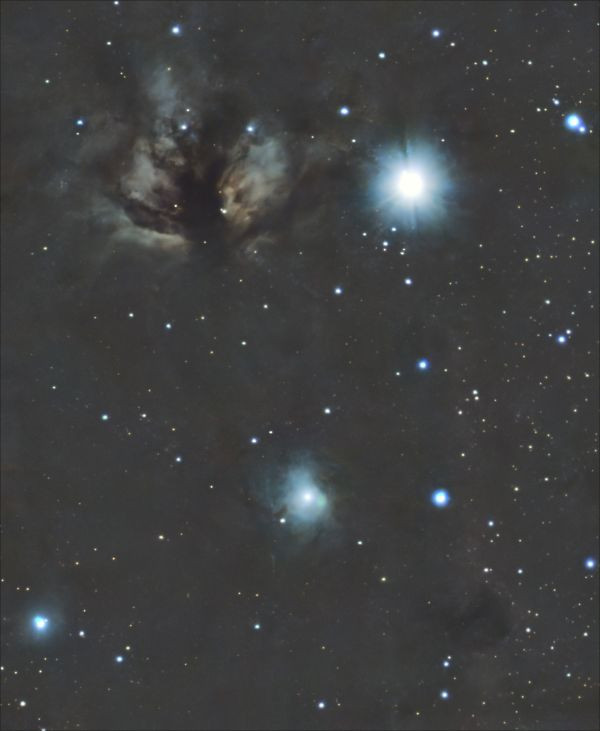 Flame Nebula & Hydrogenless Horsehead Nebula - Astrophotography