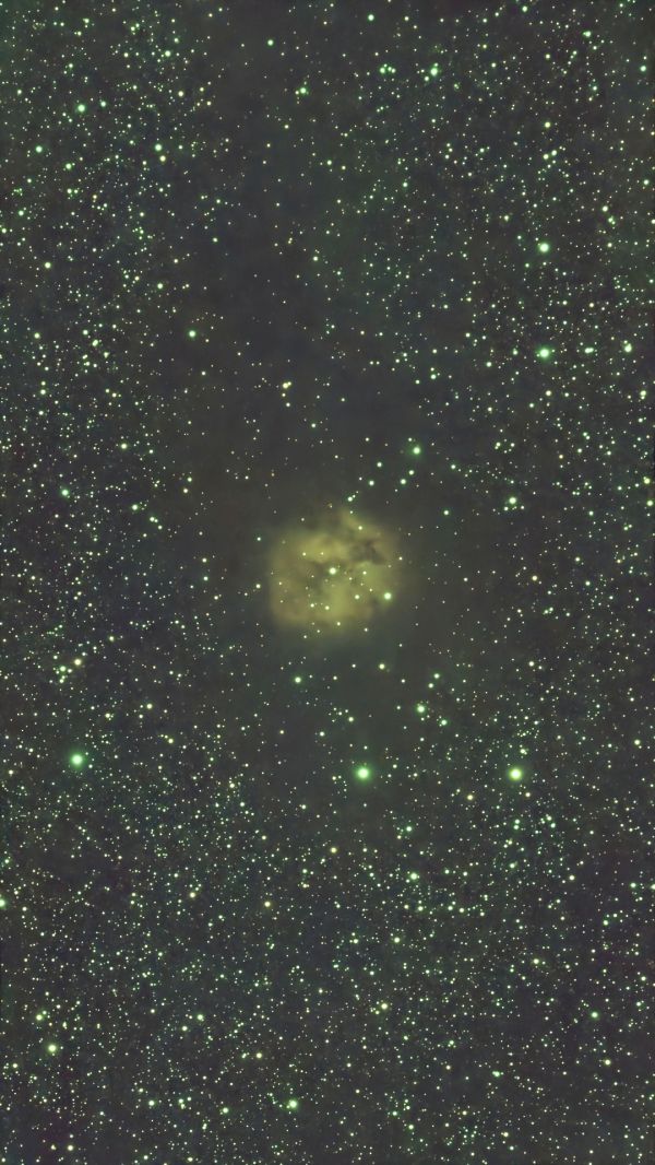 M1, NGC 1952 - Crab Nebula - Astrophotography