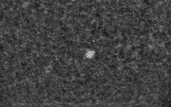 2020.10.25 Sun AR CaK - астрофотография