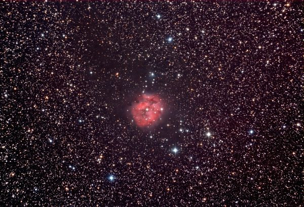 IC 5146 - Cocoon Nebula - Astrophotography