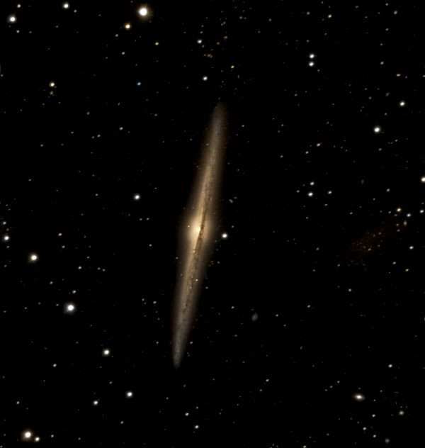 NGC 4565 - Astrophotography