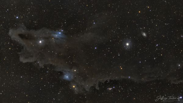 LDN 1235 - Shark Nebula - Astrophotography