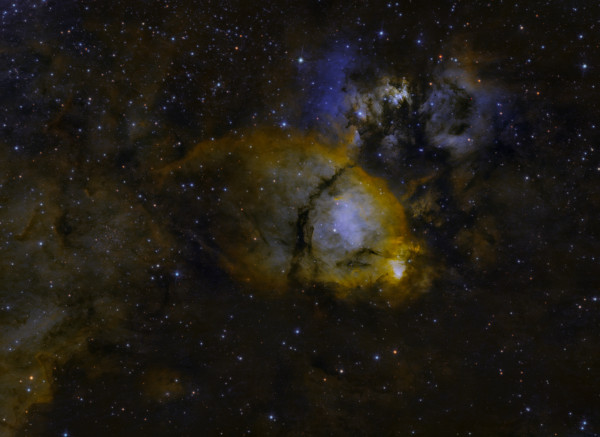 IC 1795 (Fish Head nebula) - SHO - Astrophotography