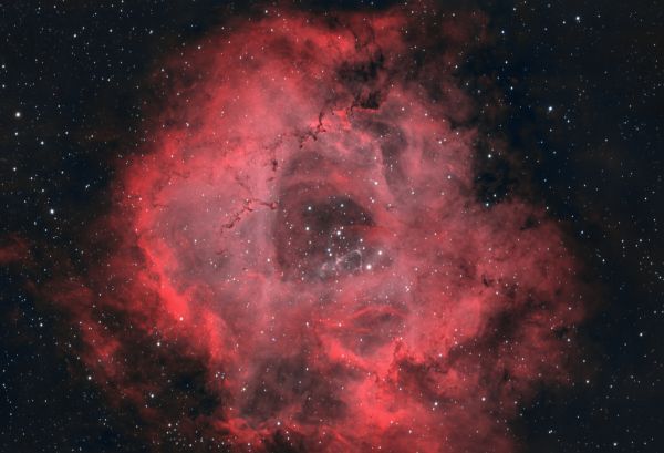 C 49 - Rosette Nebula - Astrophotography