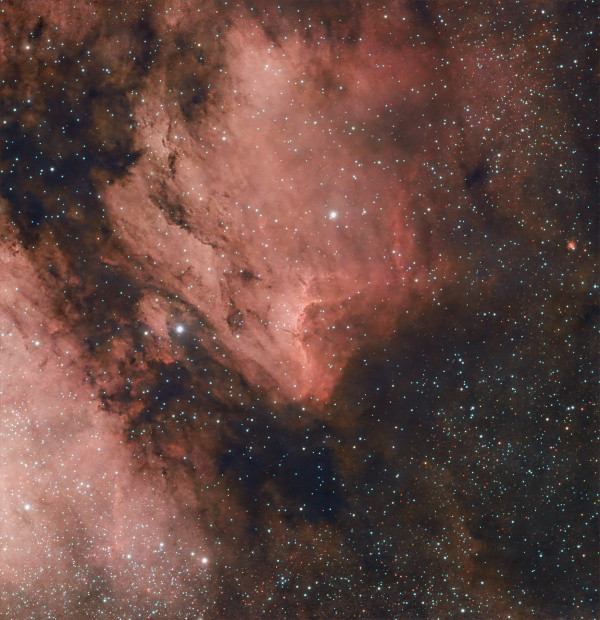 IC 5070 - Pelican Nebula - Astrophotography