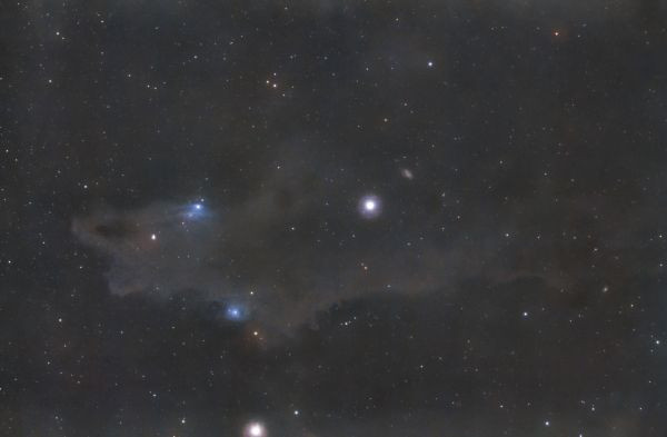 LDN 1235 in Cepheus - Astrophotography