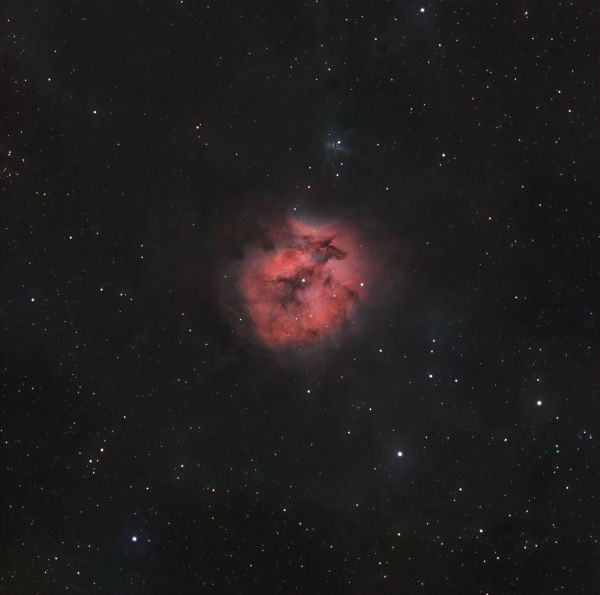 SH2-125 Cocoon - Astrophotography