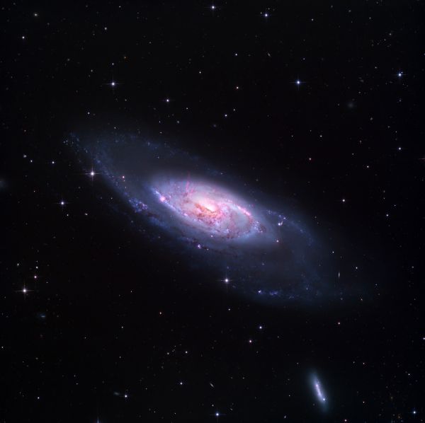 Галактика M106 - астрофотография