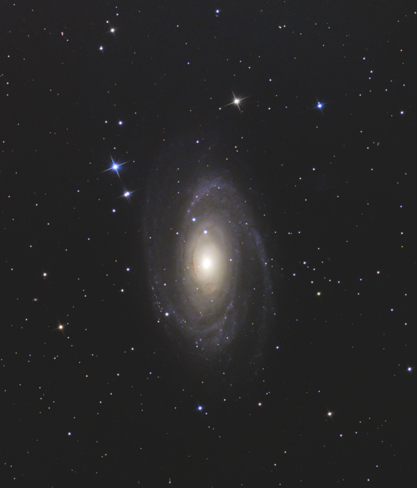 Галактика Боде, М81, ngc 3031 - астрофотография