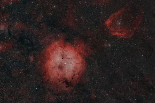 IC1396, Sh2-129 - Elephant's Trunk, Bat, and a bit of Squid. - Astrophotography