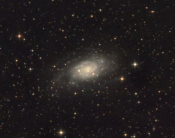 NGC 2403 - астрофотография