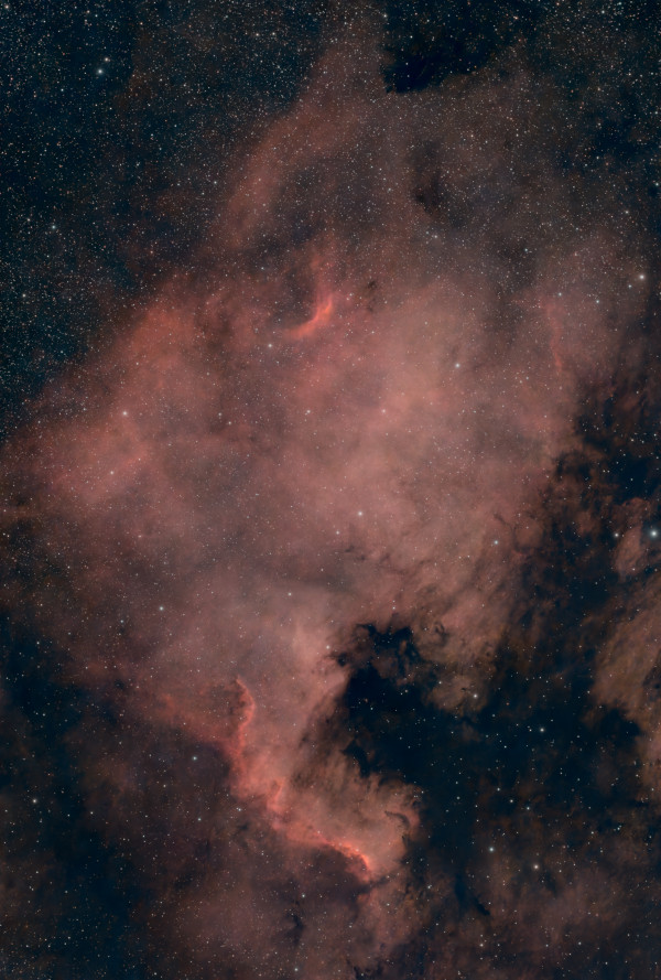 NGC 7000 - North America Nebula - Astrophotography