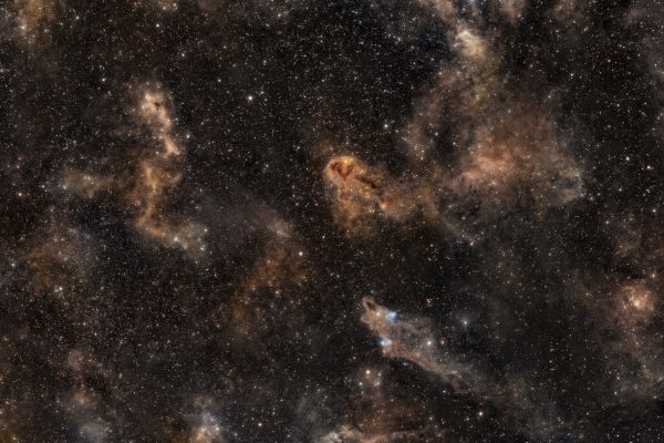 Shark Nebula LDN 1235 - астрофотография