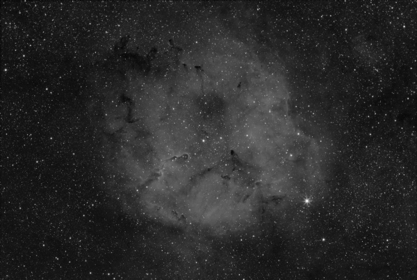 ELEPHANT TRUNK IN Ha - Astrophotography