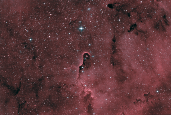 Elephant trunk - Astrophotography