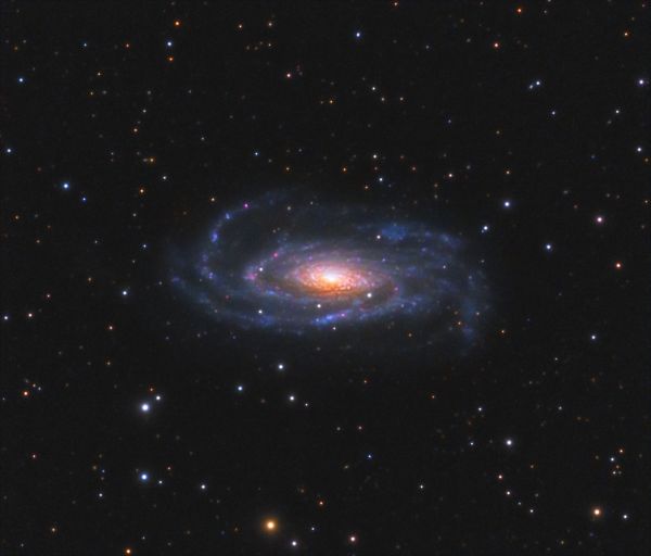 NGC 5033 (UGC 8307, MCG 6-29-62, ZWG 189.43, IRAS13111+3651, PGC 45948) - астрофотография