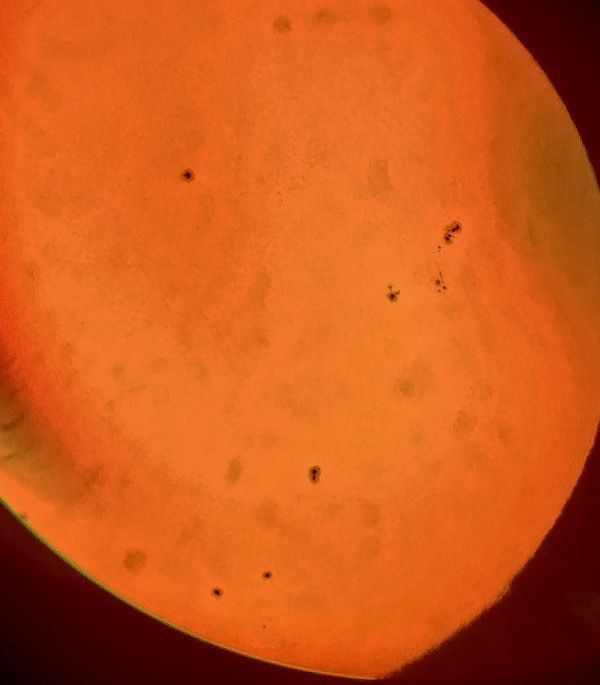 Sunspot group on March 26 at 16:15 - Astrophotography