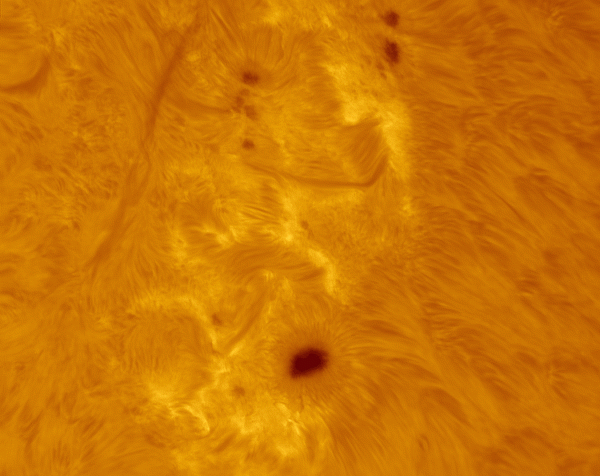 Animation of the active region over 1 hour 10 minutes. - Astrophotography