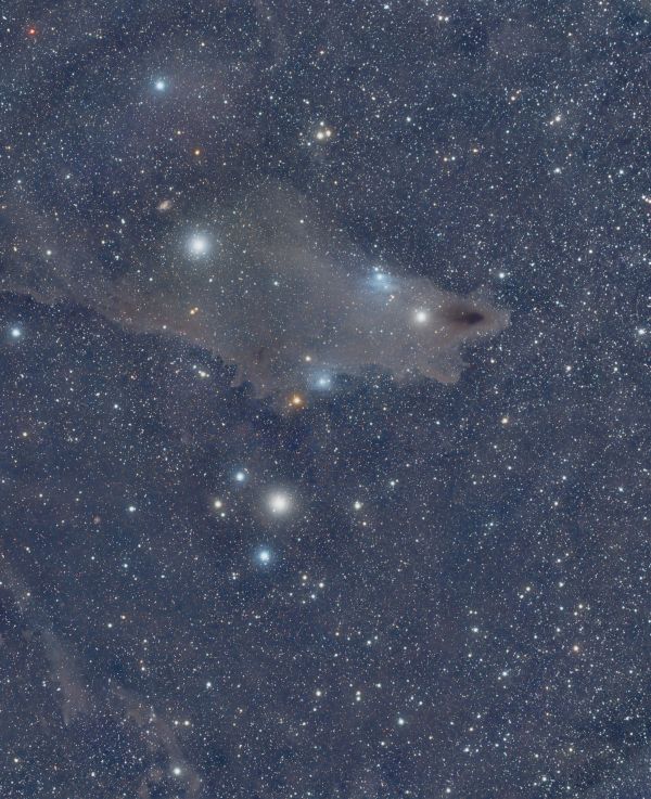 Рыбка зубастая, Акула (LND1235, VDB 150, VDB 149) - астрофотография