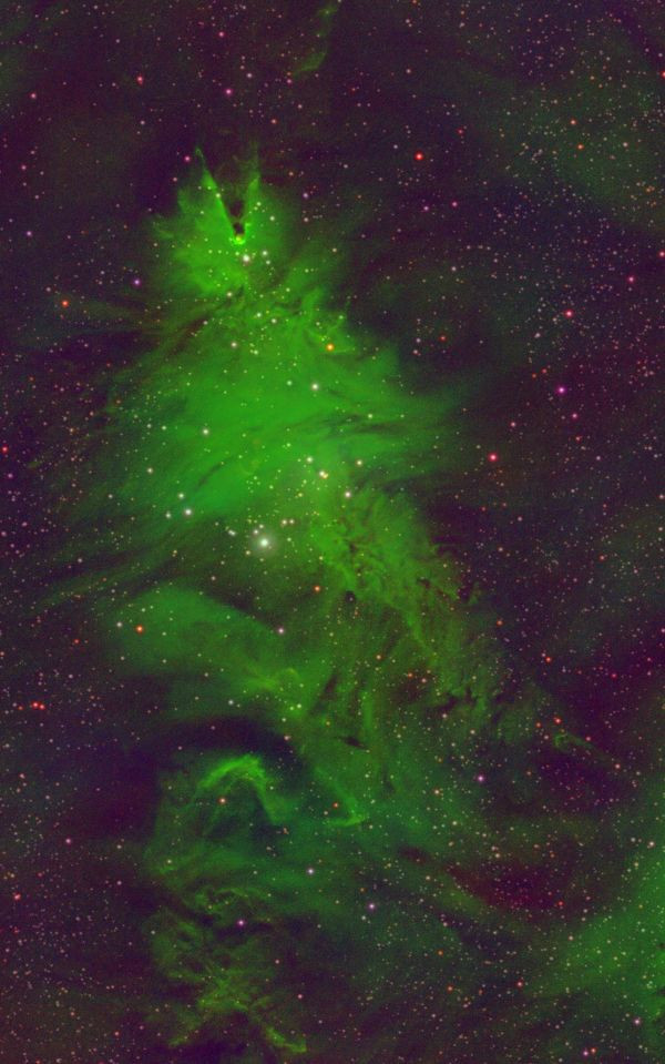 NGC 2264 Christmas Tree Cluster on Christmas Night - Astrophotography