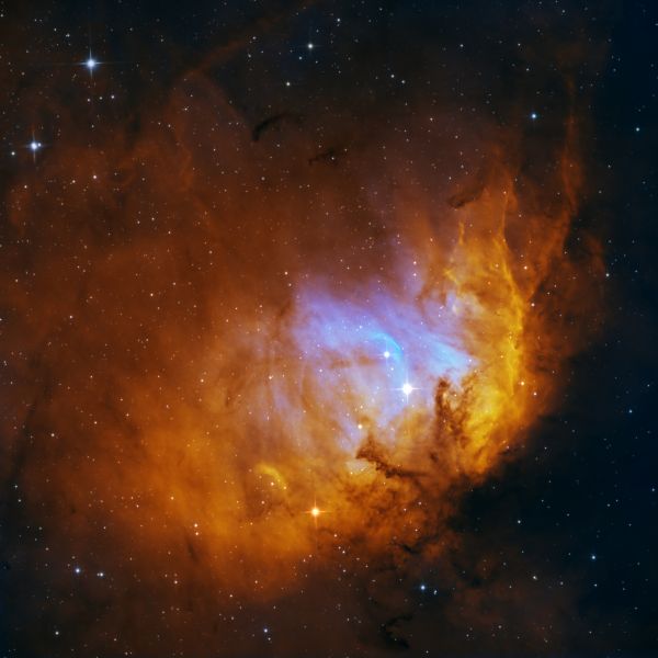Tulip Nebula - астрофотография