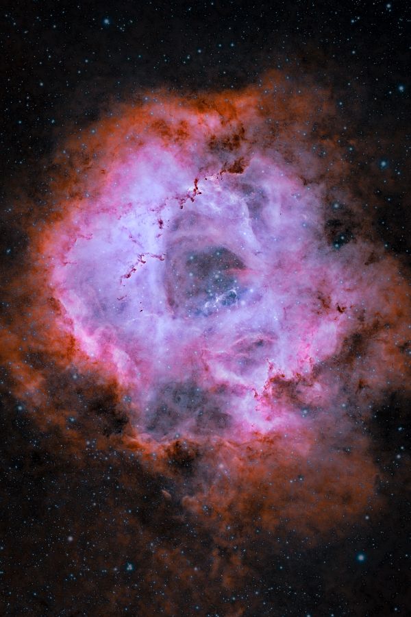 NGC-2237 Rosette nebula - Astrophotography