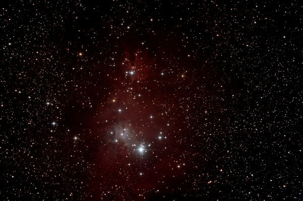 NGC 2264 - Cone Nebula - Astrophotography