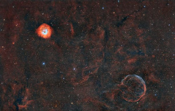 Garlic and a small rosette - Astrophotography