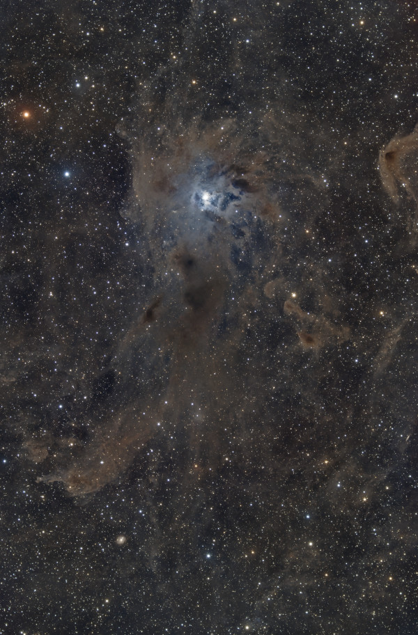 Caldwell 4 - NGC 7023 - Ирис - Astrophotography