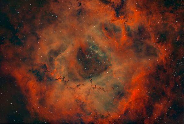 NGC 2264 _Rosette - Astrophotography