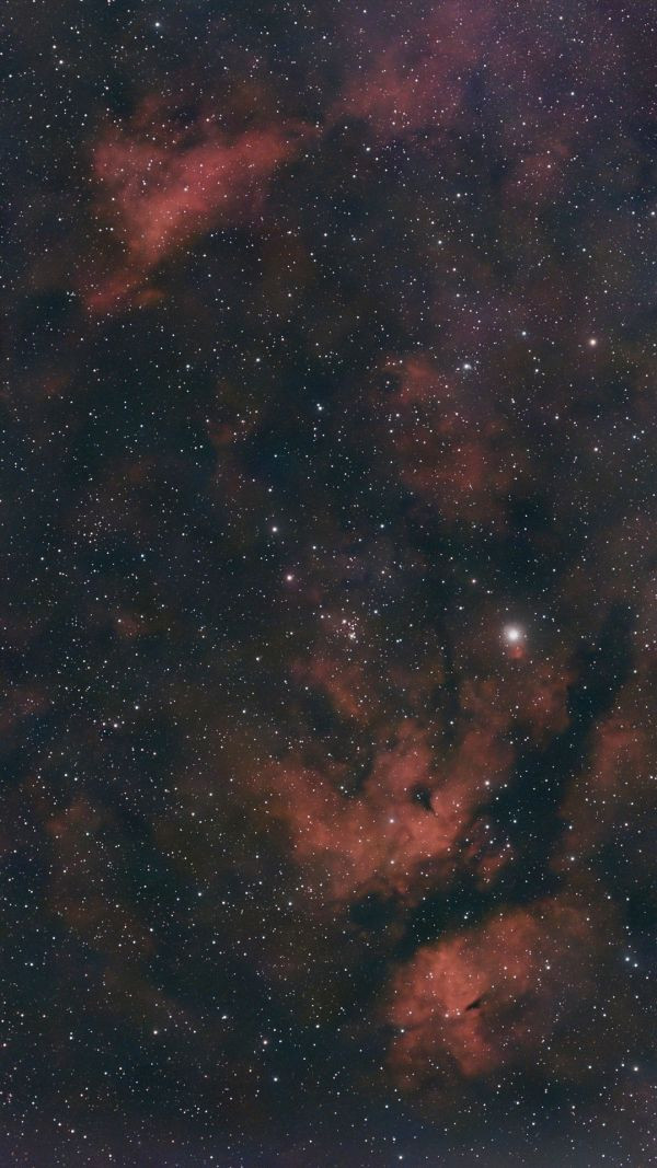 IC1318 - Astrophotography