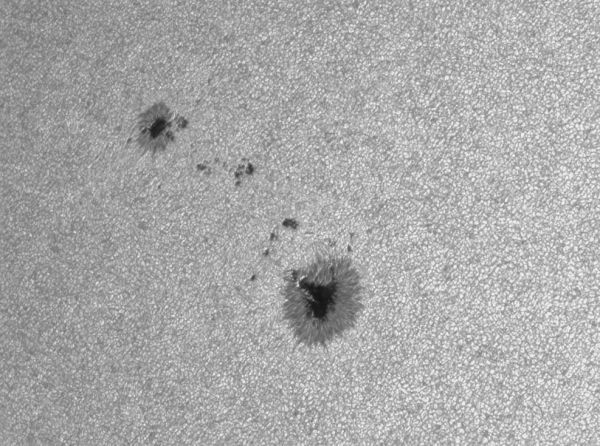Solar Sunspot Group 4431 - Astrophotography