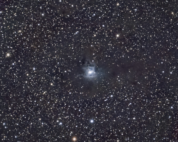 Caldwell 4 – Iris Nebula - Astrophotography