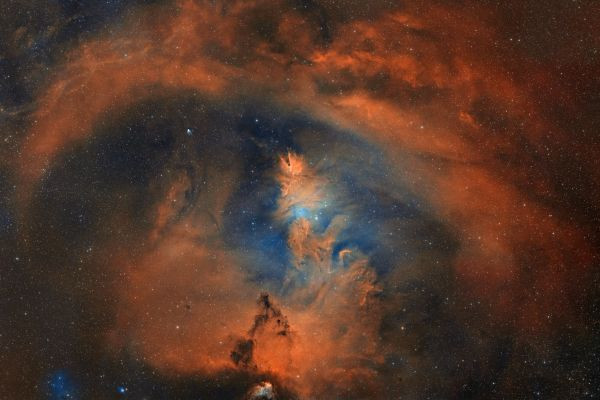 The Christmas Tree Nebula (NGC 2264) - Astrophotography
